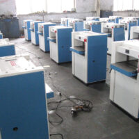 Рейсмус желтый 3